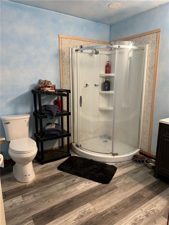 bathroom featuring toilet, vanity, a shower with shower door, and hardwood / wood-style flooring