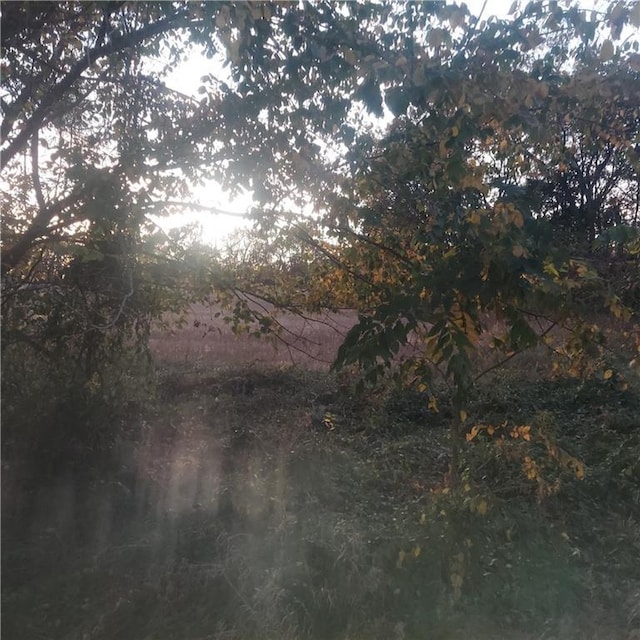 13-ACRES E 315th St, Drexel, MO 64742