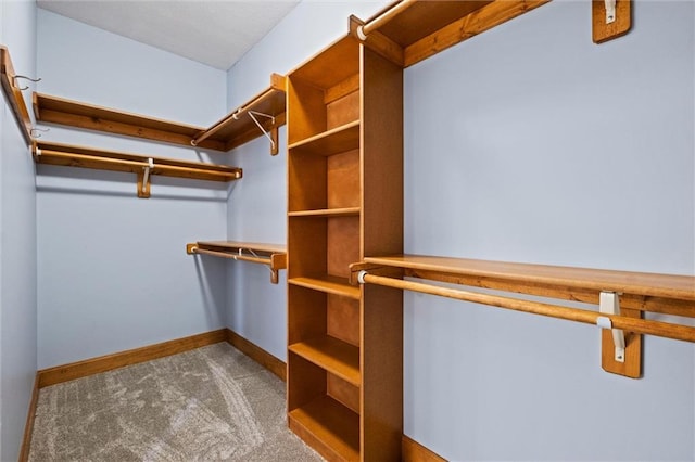 spacious closet featuring carpet