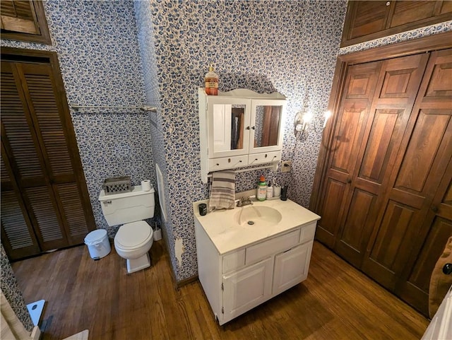 bathroom featuring vanity, wood-type flooring, and toilet