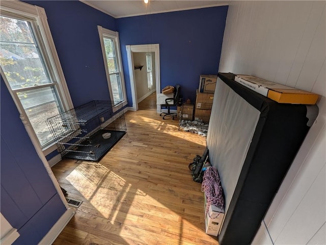 bedroom with light hardwood / wood-style flooring