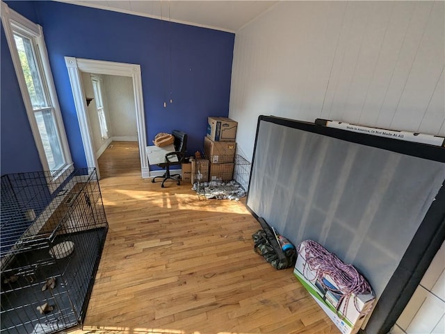 bedroom with light wood-type flooring