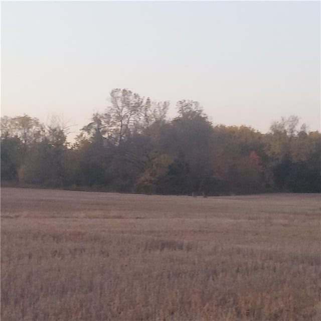 Listing photo 3 for 4-ACRES E 315th St, Drexel MO 64742