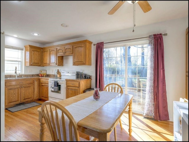 kitchen with a wealth of natural light, light hardwood / wood-style flooring, sink, and white electric range