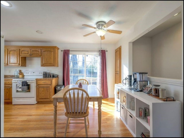 kitchen with white range with electric stovetop, ceiling fan, and light hardwood / wood-style flooring