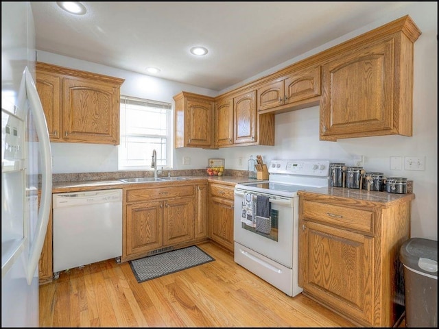 kitchen featuring white appliances, light hardwood / wood-style flooring, and sink