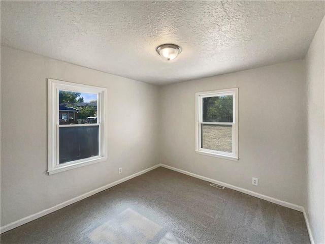 carpeted spare room with a healthy amount of sunlight and a textured ceiling