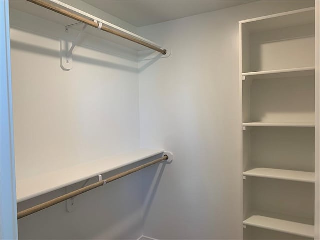 view of walk in closet