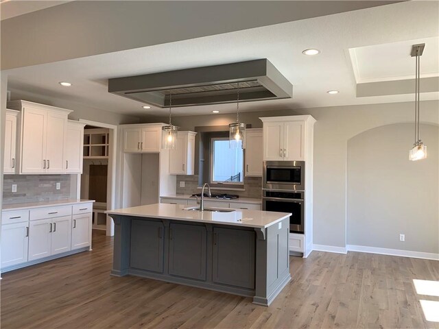 kitchen with a sink, a tray ceiling, stainless steel appliances, and white cabinetry