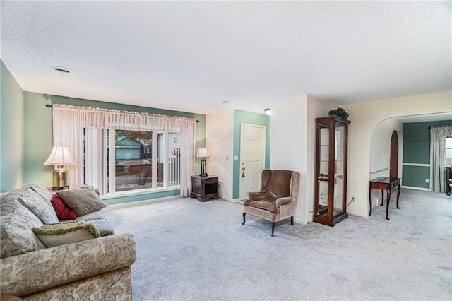 carpeted living room with a textured ceiling and a wealth of natural light