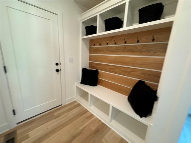 mudroom featuring light wood-type flooring