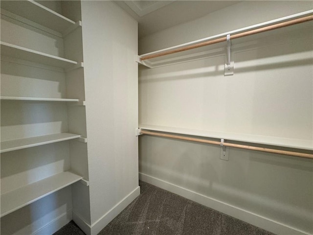 walk in closet with dark colored carpet