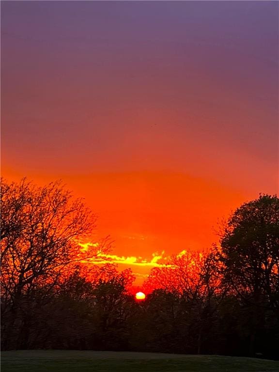 view of nature at dusk