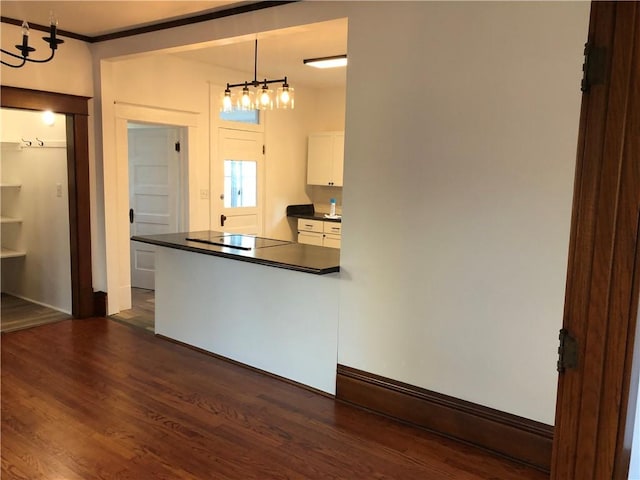 kitchen with white cabinetry, hanging light fixtures, black electric cooktop, and dark hardwood / wood-style flooring