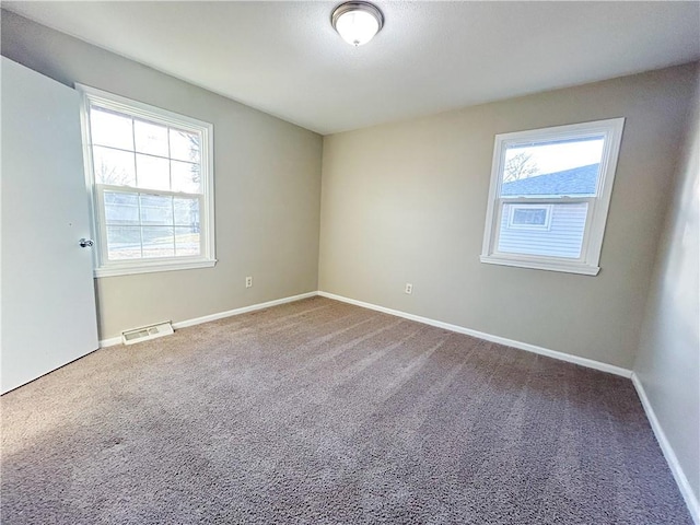 carpeted spare room featuring a wealth of natural light