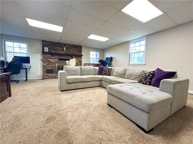 carpeted living room with a wealth of natural light, a drop ceiling, and a brick fireplace