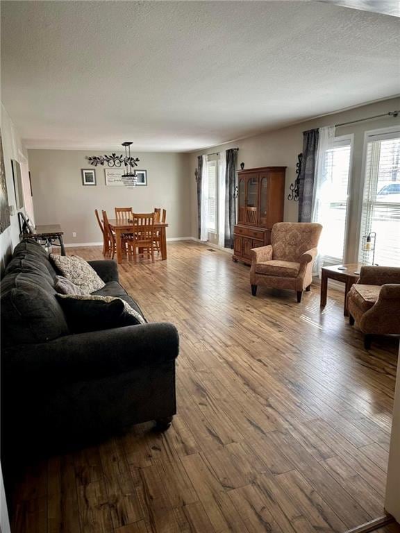 living room with a textured ceiling and hardwood / wood-style floors