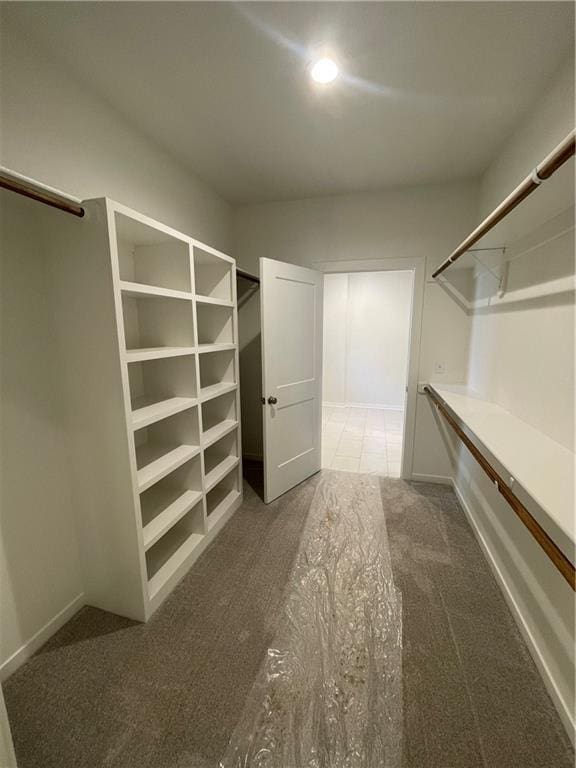 walk in closet with carpet floors