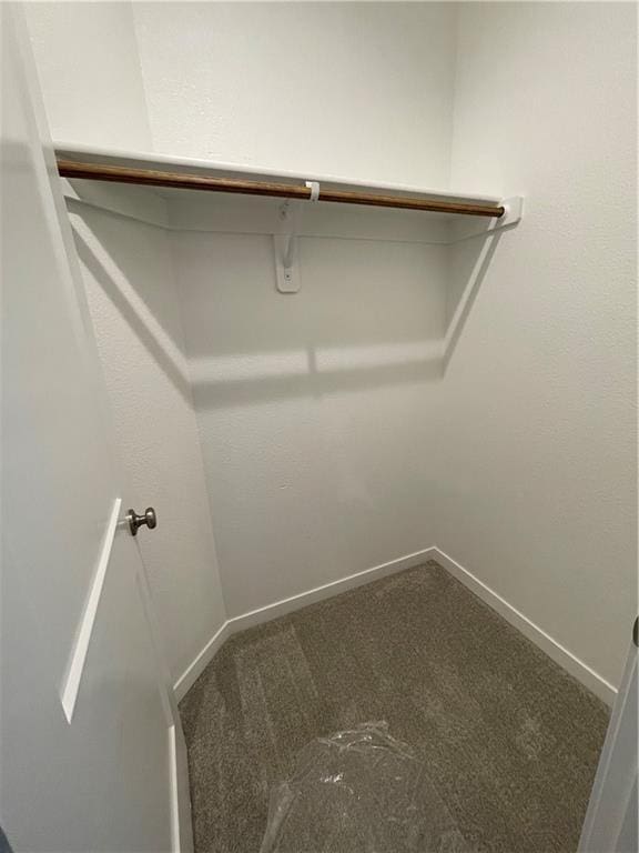 walk in closet featuring carpet flooring