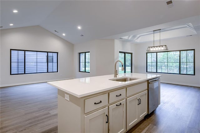 kitchen featuring a sink, stainless steel dishwasher, wood finished floors, and open floor plan