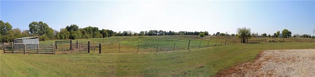 view of yard with a rural view