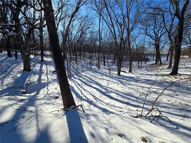 Listing photo 3 for 000 Lost Lk, Thayer KS 66776