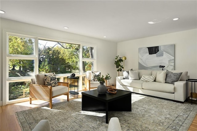 living room with hardwood / wood-style floors