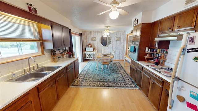 kitchen with decorative backsplash, sink, light wood-type flooring, white appliances, and ceiling fan