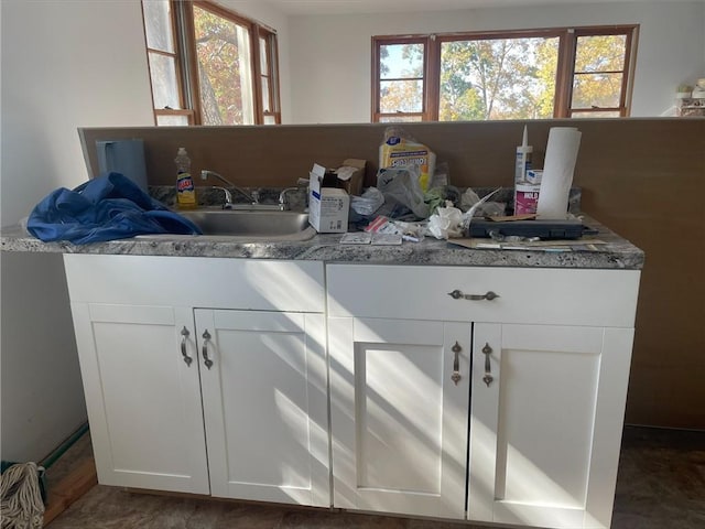 bathroom featuring sink and plenty of natural light