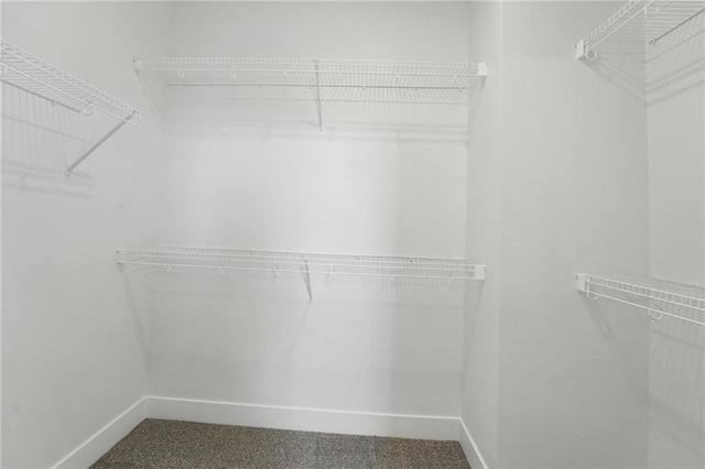 spacious closet featuring carpet floors