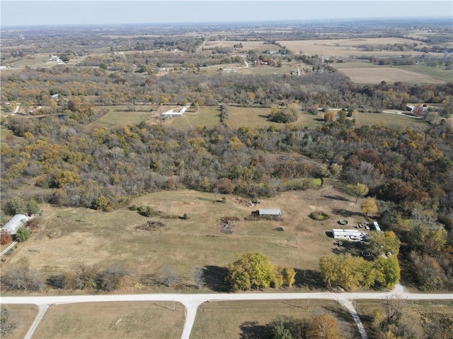 361 NW 1101st Rd, Centerview MO, 64019 land for sale