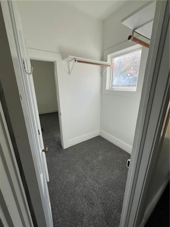 walk in closet with dark carpet