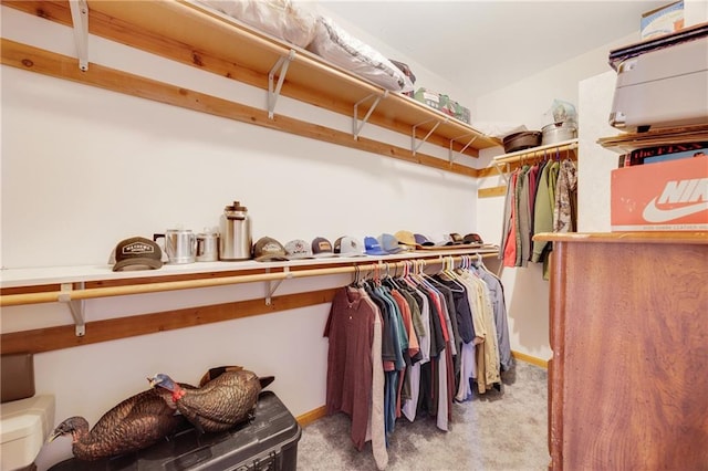 spacious closet featuring light carpet