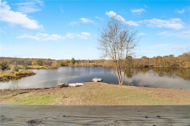 property view of water