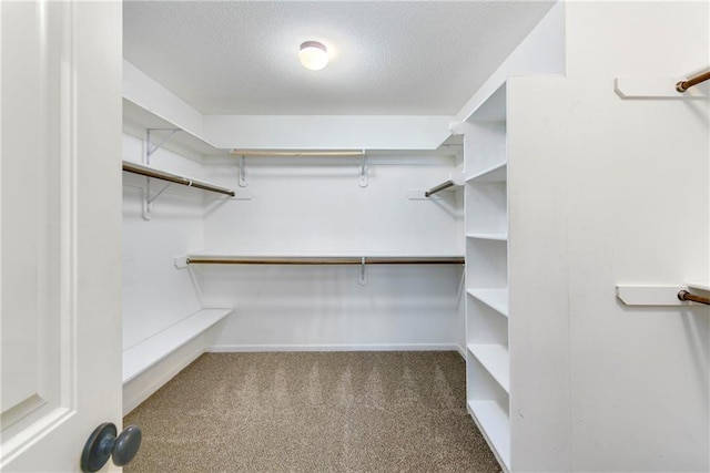 walk in closet with carpet