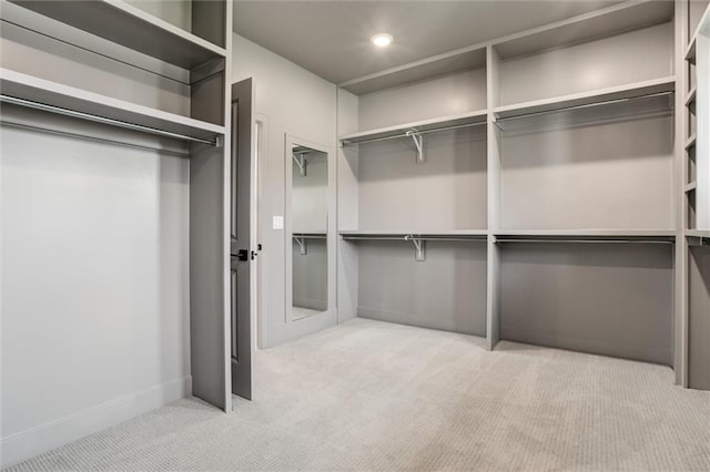 spacious closet with light colored carpet