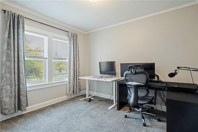 home office featuring ornamental molding and carpet floors