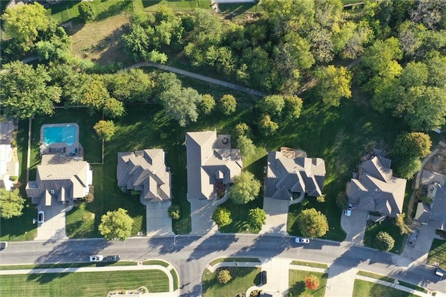 bird's eye view