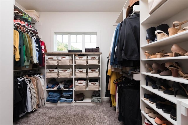 spacious closet featuring carpet flooring