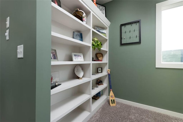 interior space featuring carpet flooring and plenty of natural light