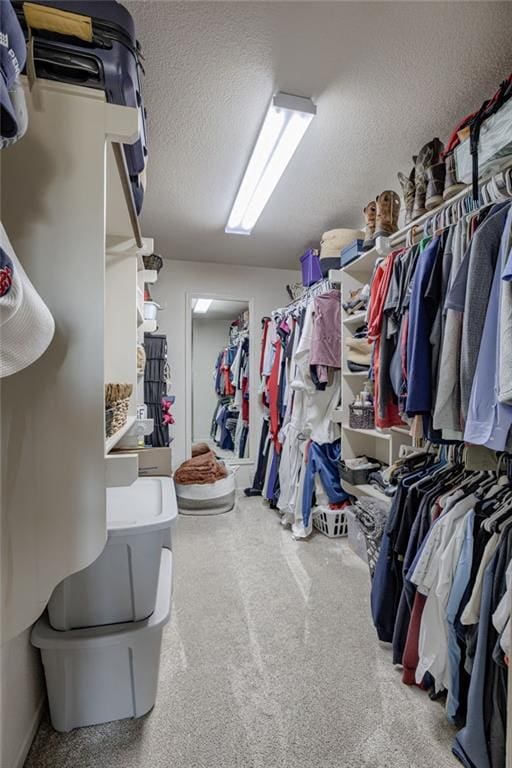 walk in closet with carpet