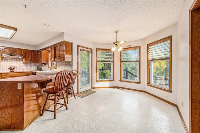 kitchen with a kitchen breakfast bar, kitchen peninsula, a healthy amount of sunlight, and tasteful backsplash