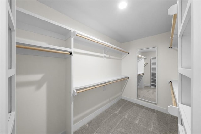 walk in closet featuring carpet floors