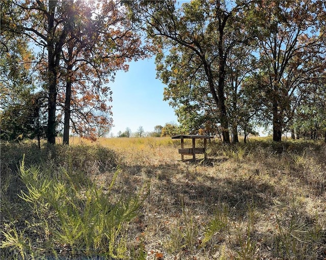 11201-11999 SE 700th Hwy, Weaubleau, MO 65774 - photo 1