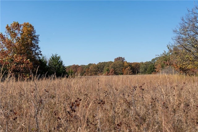 11201-11999 SE 700th Hwy, Weaubleau, MO 65774 - photo 2