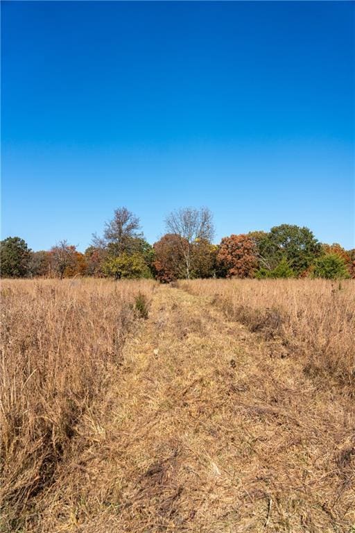 11201-11999 SE 700th Hwy, Weaubleau, MO 65774 - photo 7
