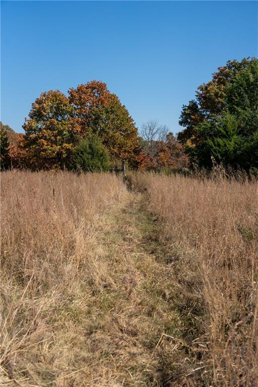 11201-11999 SE 700th Hwy, Weaubleau, MO 65774 - photo 8
