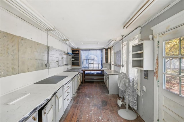 bathroom featuring wood-type flooring and plenty of natural light