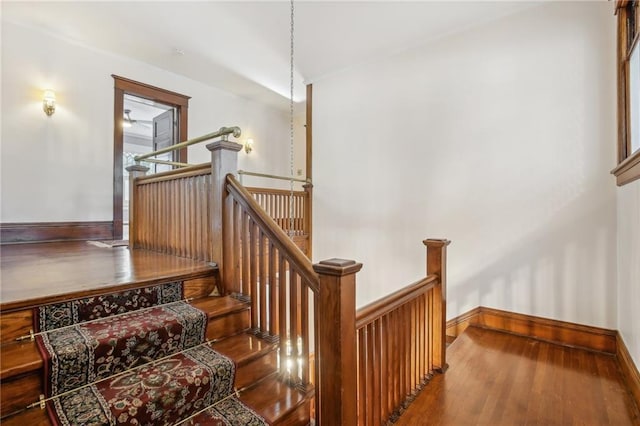 stairway featuring hardwood / wood-style floors