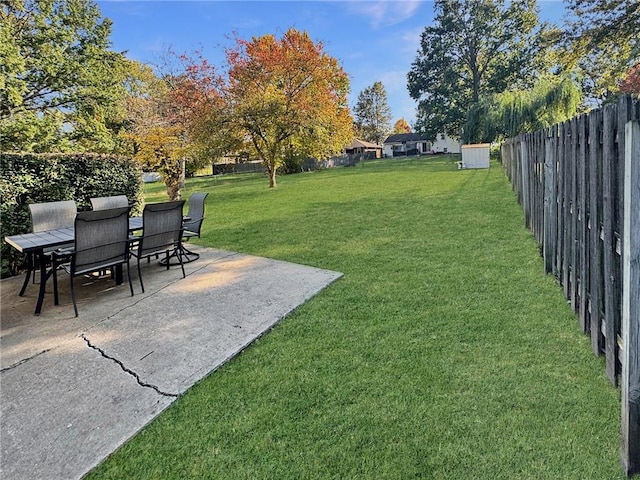 view of yard featuring a patio area